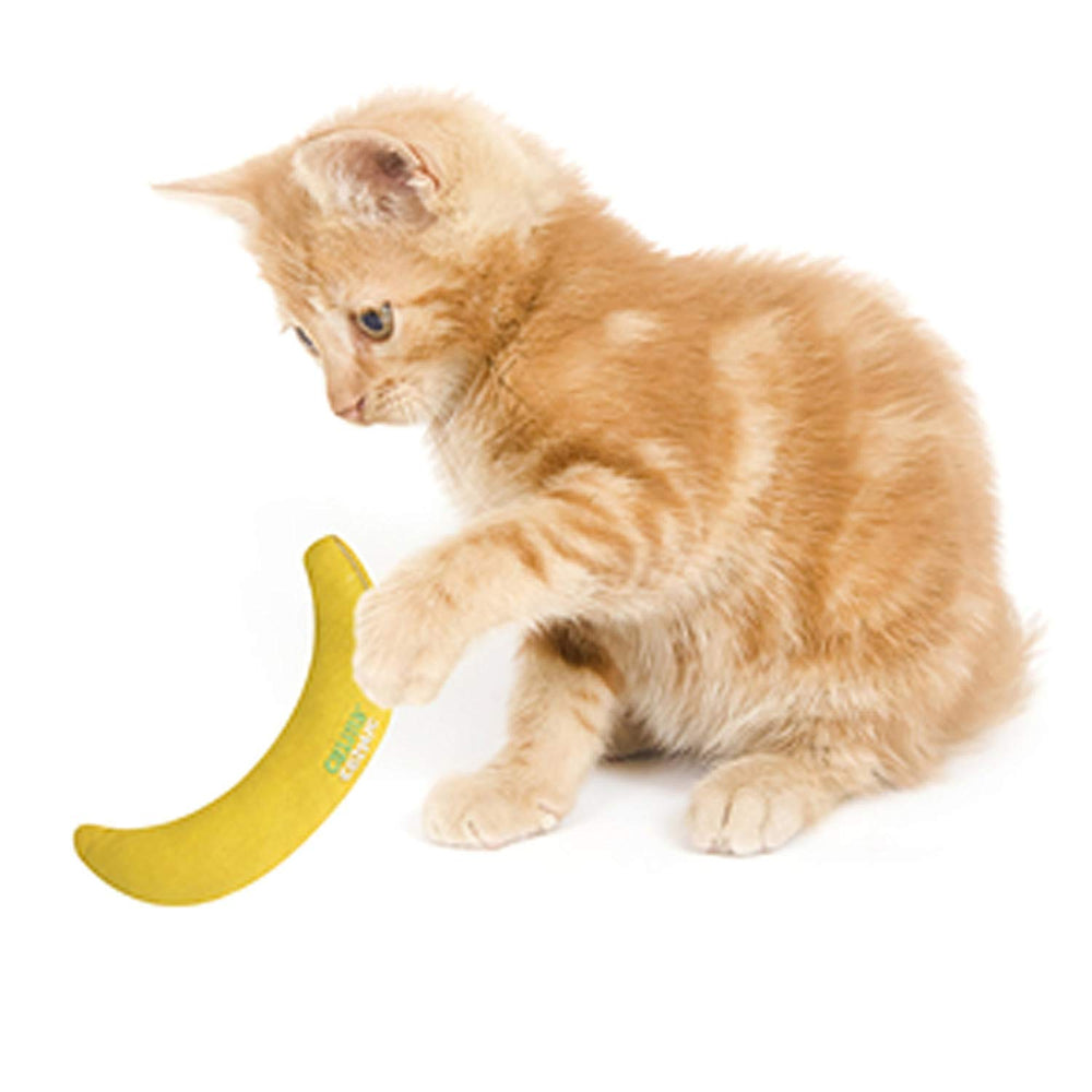OurPets Cosmic Catnip Juguete Puro para juego sensorial y divertido.