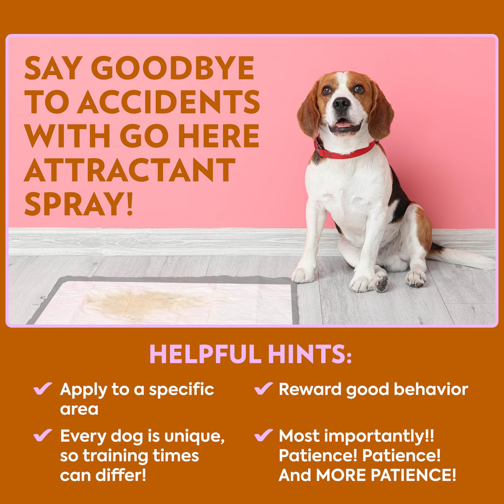 OUT! Go Here Attractant: uso en almohadillas de entrenamiento para perros.