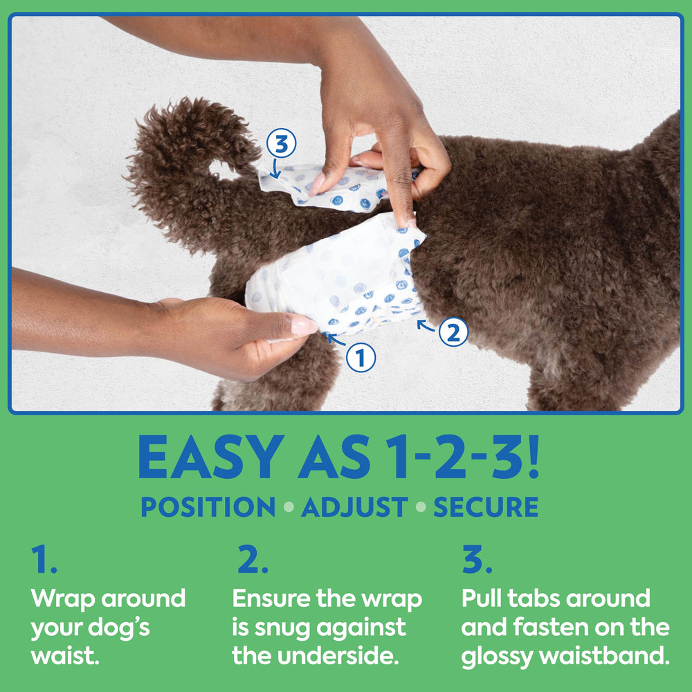 OUT! PetCare cintura ajustable 46-63 cm para ajuste cómodo