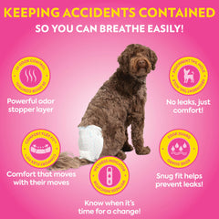 OUT! PetCare: indicador de humedad para cambios fáciles.