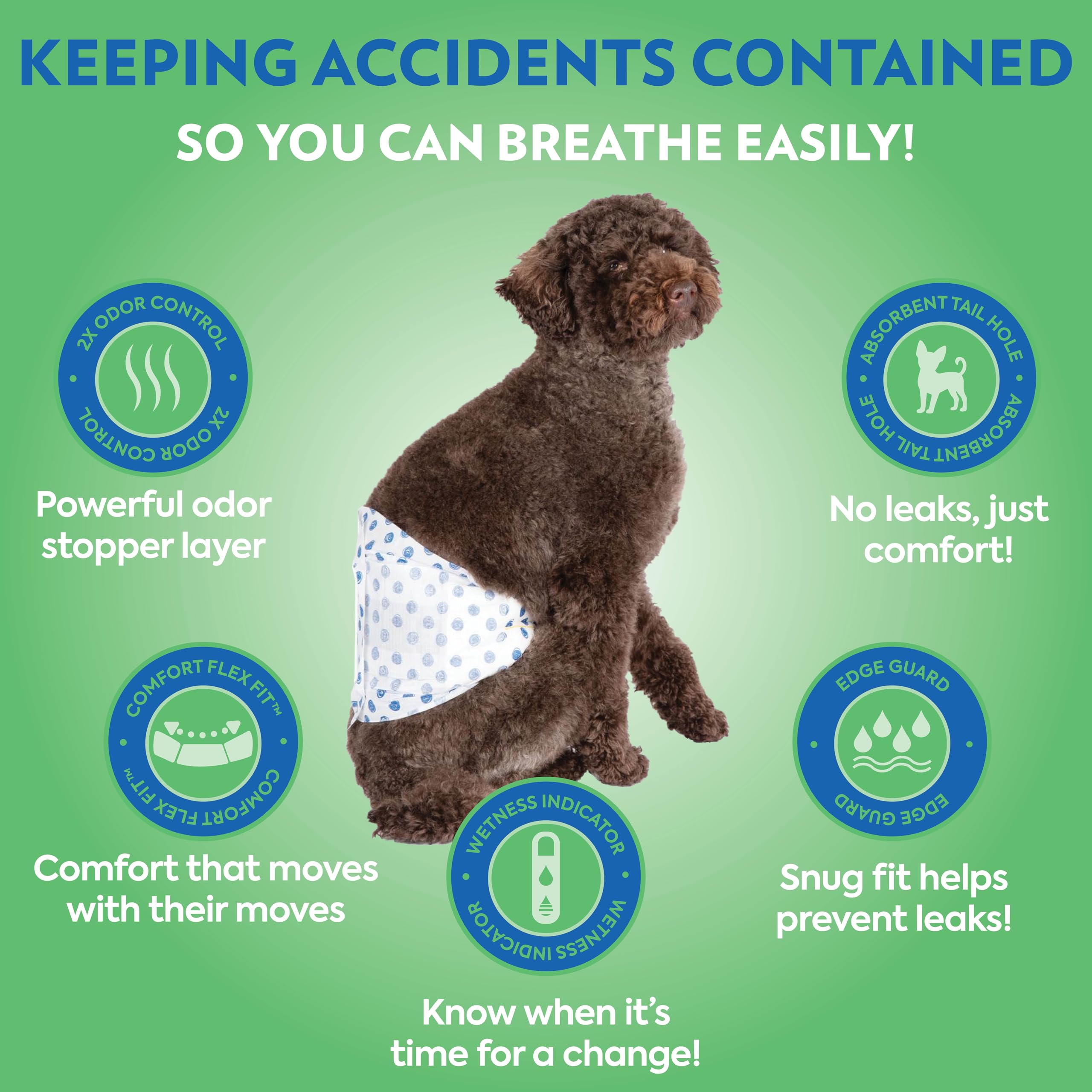 Out! PetCare pañal absorbente para perro macho para evitar escapes nocturnos