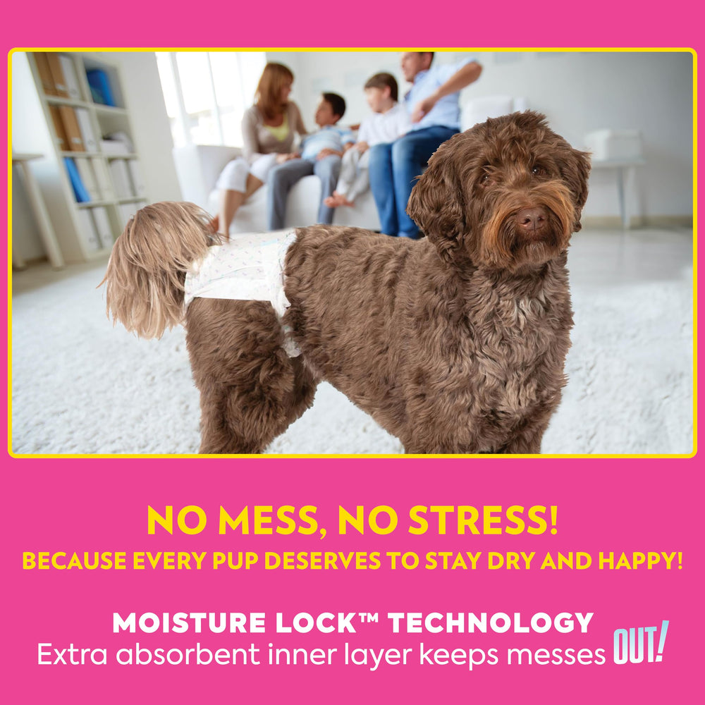 Out! PetCare Pañales para perro femenino con control de olores para un ambiente más fresco.