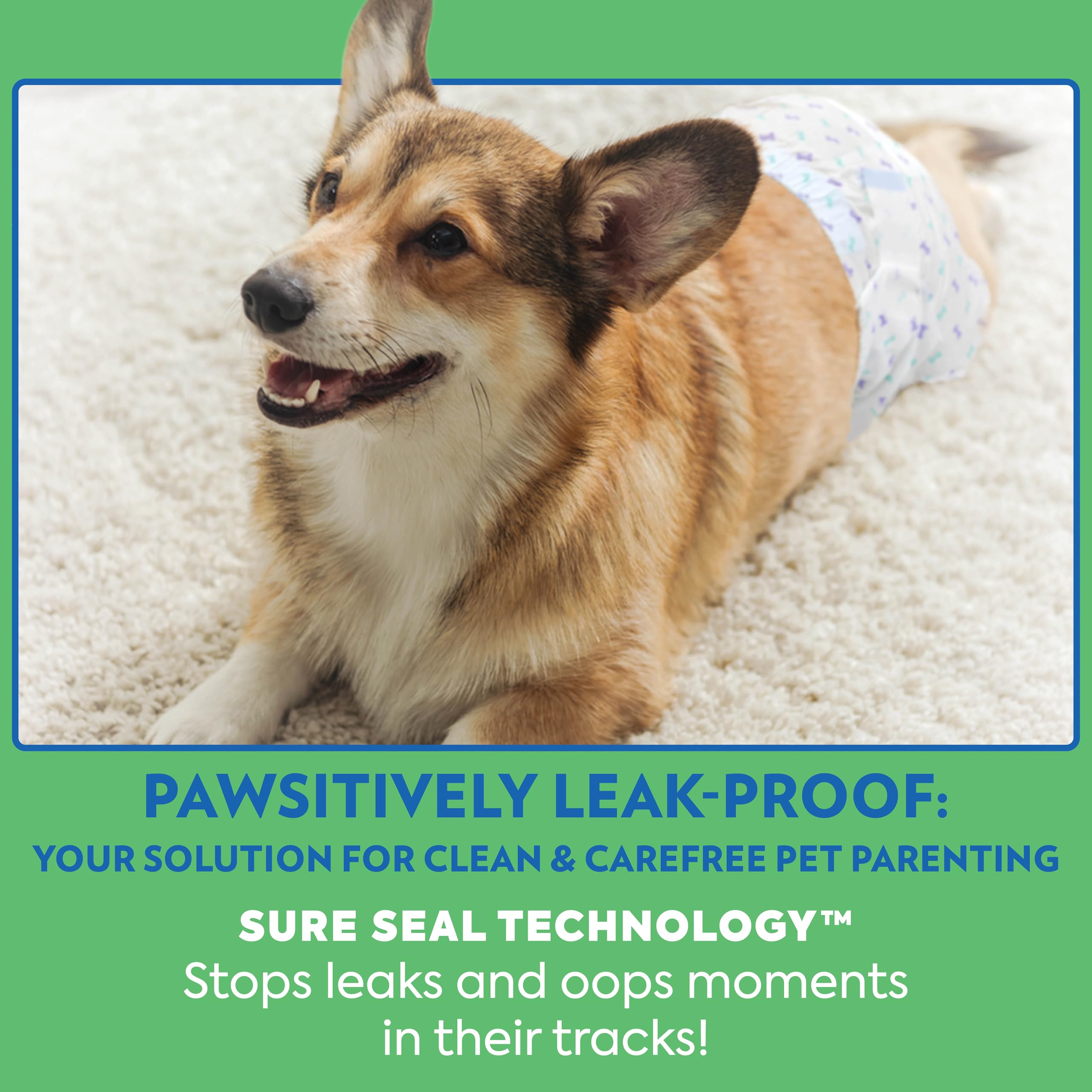 OUT! Uso de viaje con perro gracias a su perfil cómodo y práctico.