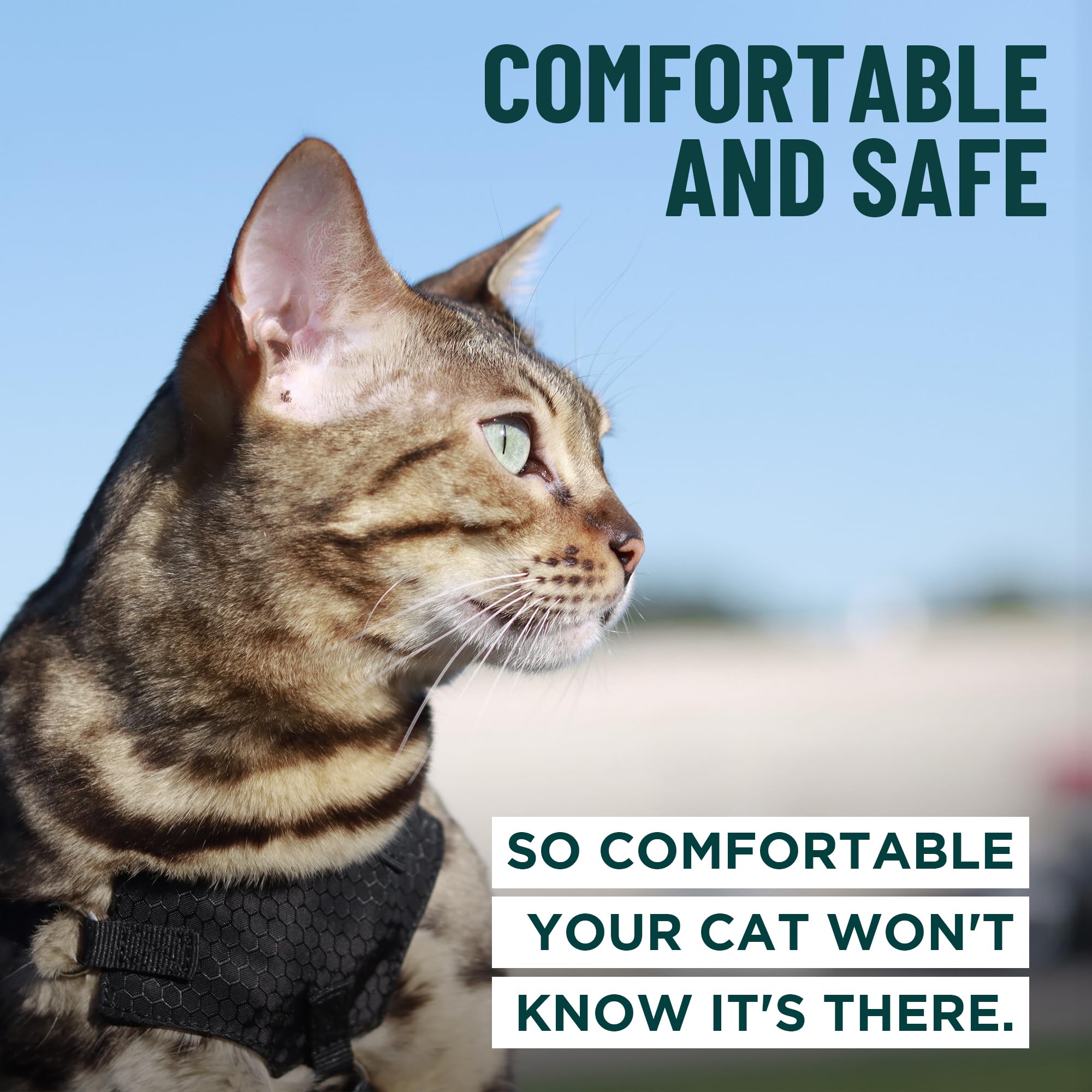 Diseño ergonómico y ligero en el arnés OutdoorBengal para gatitos.