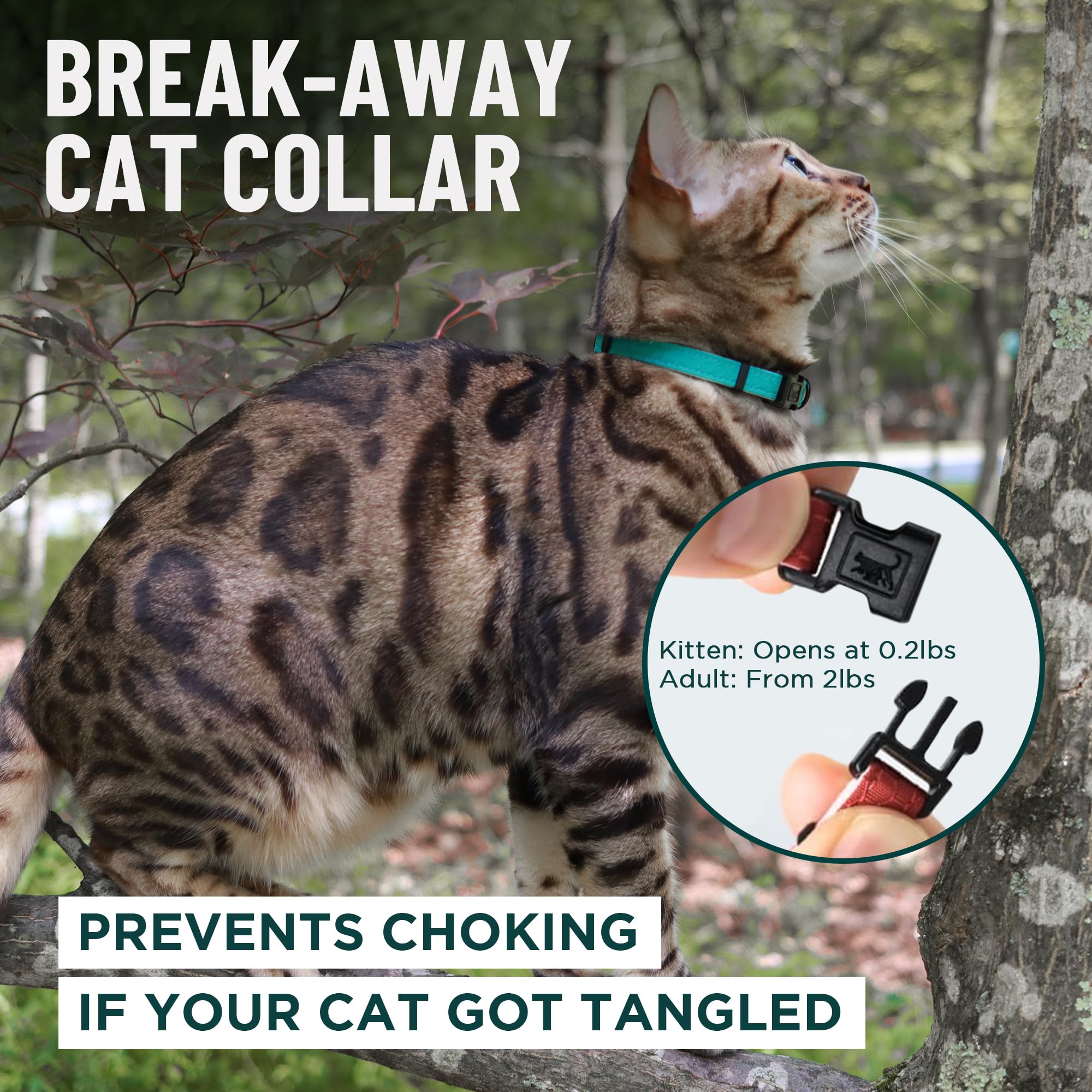 OutdoorBengal collar con acolchado suave para mayor comodidad diaria.