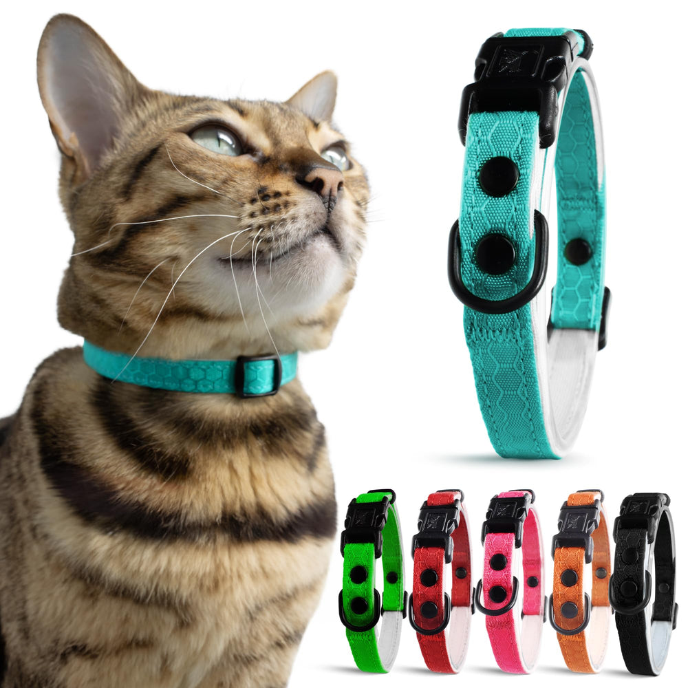 OutdoorBengal collar azul con hebilla liberacion rapida para seguridad al juego y paseo