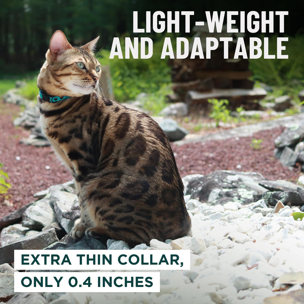 OutdoorBengal collar azul variedad de colores para estilo felino
