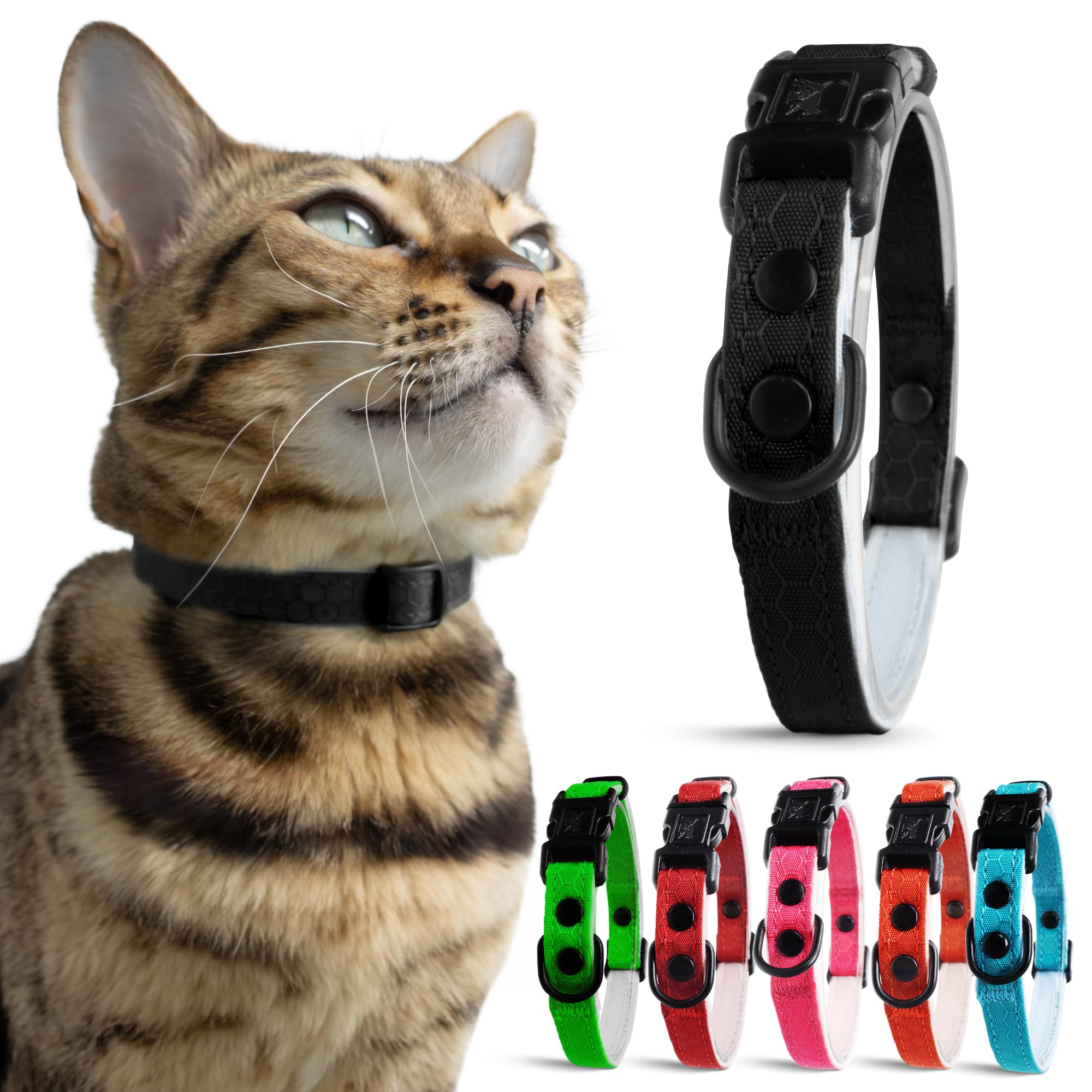 OutdoorBengal collar gato con cierre de liberación rápida para seguridad.