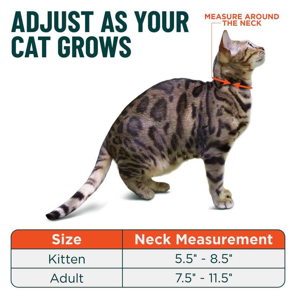 OutdoorBengal collar rojo ajuste preciso para gatos adultos