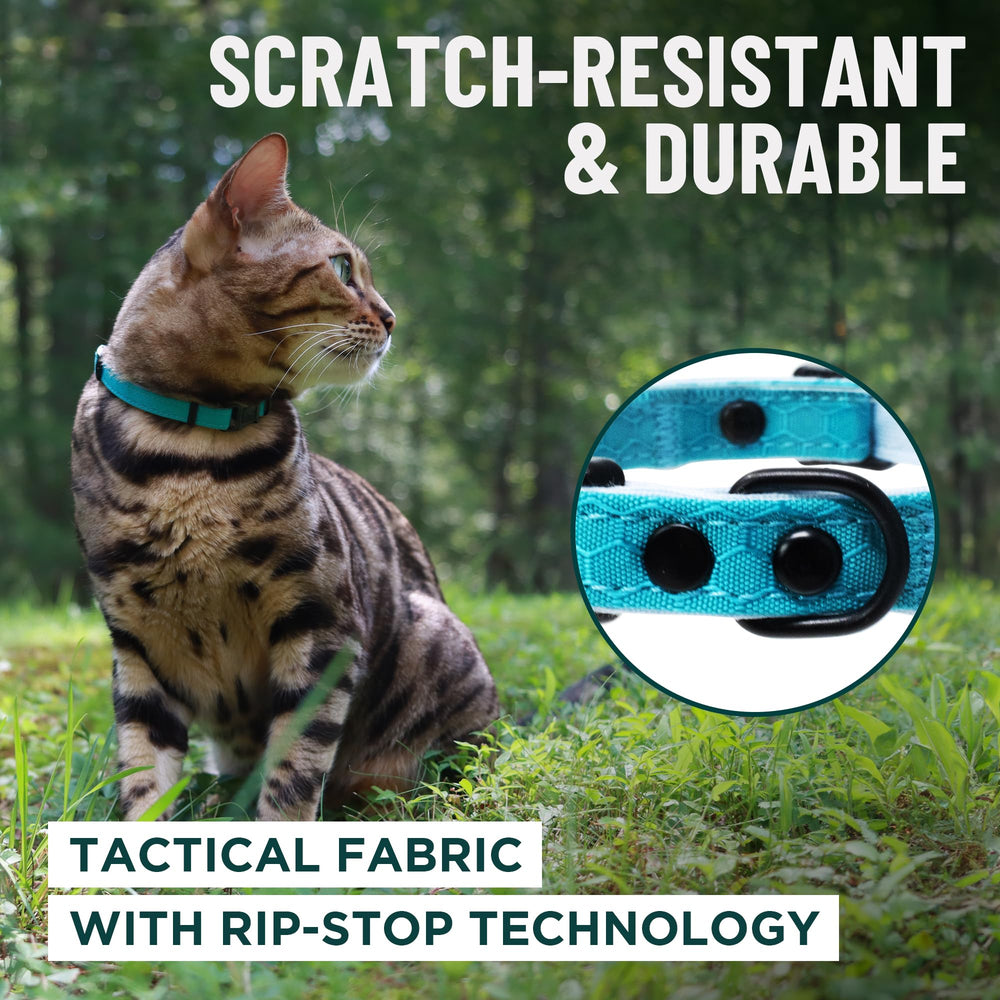 Tejido táctico robusto del collar OutdoorBengal para uso diario.