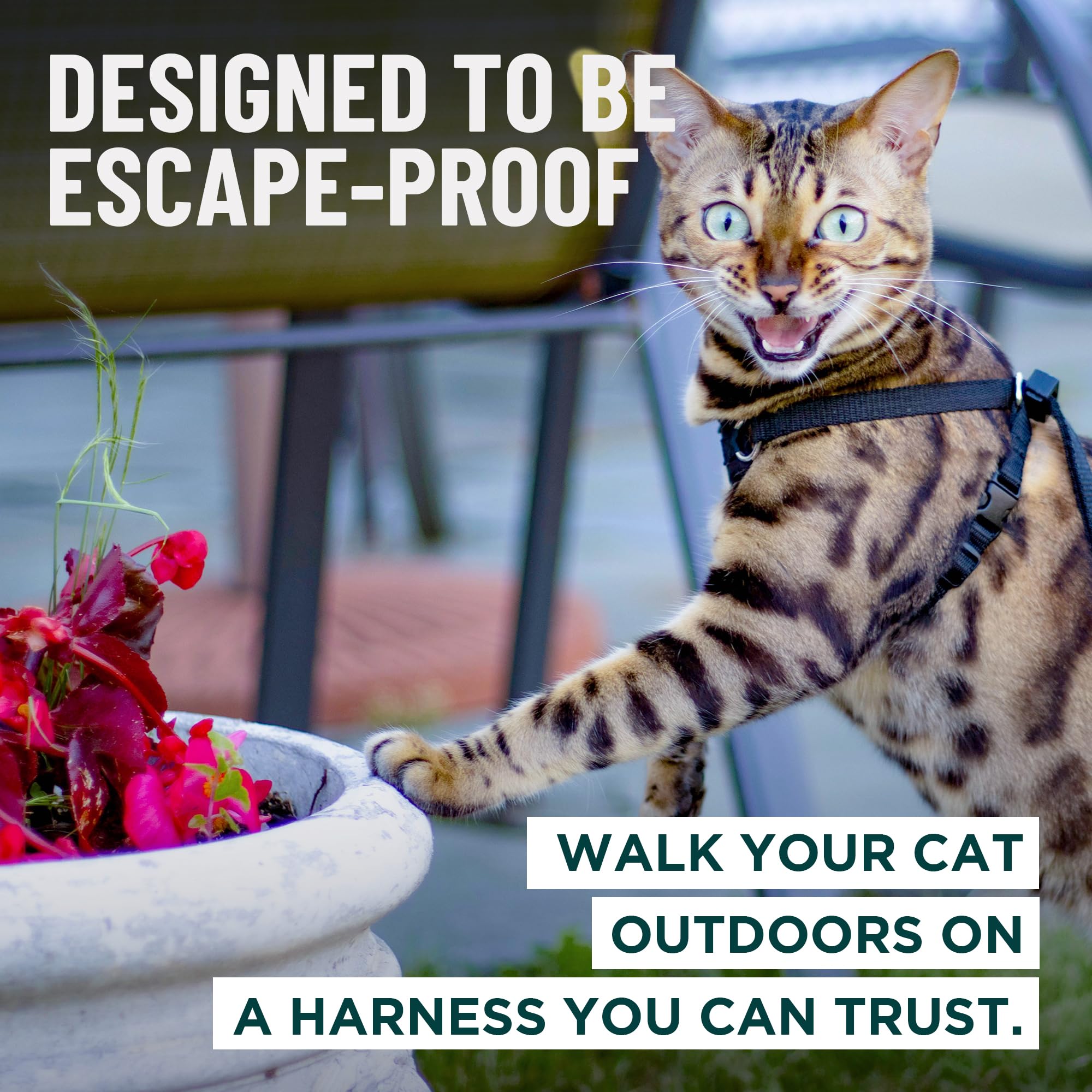 OutdoorBengal Houdini, ajuste cómodo en pecho acolchado para tu gato.