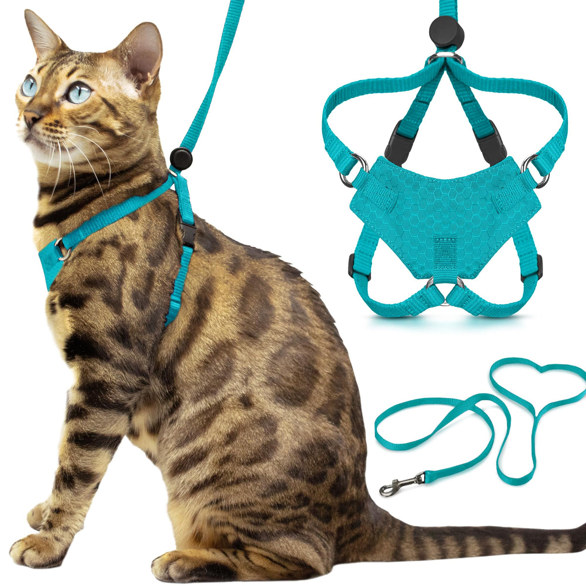 Arnés Houdini de OutdoorBengal en turquesa para paseos seguros de gatitos