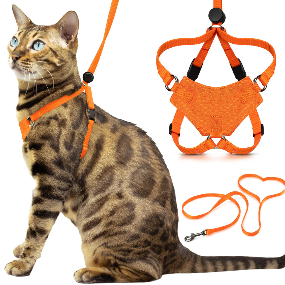 Arnés Houdini de OutdoorBengal para gato naranja, enfoque arnés, seguridad en paseos.