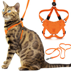 Arnés Houdini de OutdoorBengal para gato naranja, enfoque arnés, seguridad en paseos.