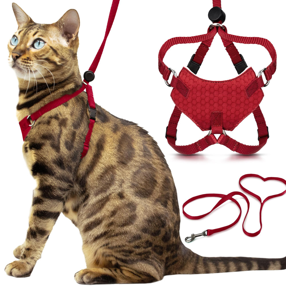 Houdini de OutdoorBengal: arnés para gato a prueba de fugas, seguro para paseos.