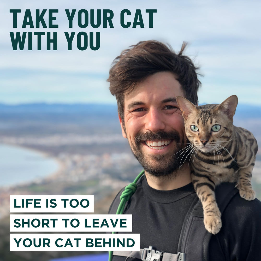 Arnés Houdini OutdoorBengal, sujeción estable para caminatas al aire libre.