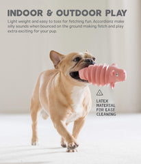 Outward Hound Accordionz: recomendado como recompensa durante juegos y entrenamiento