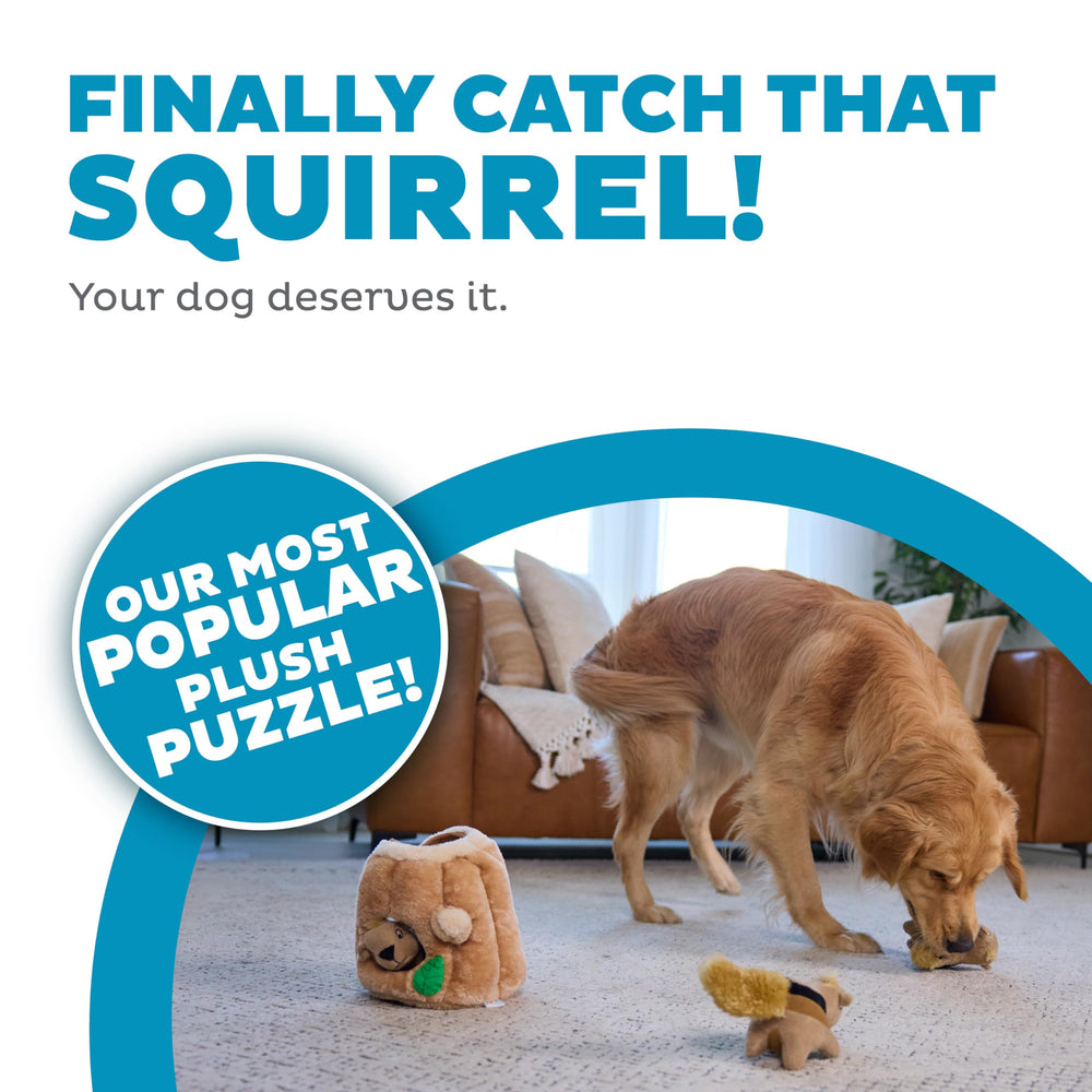 Outward Hound Hide-A-Squirrel con tres ardillas removibles que hacen ruido para buscar.