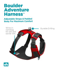 Outward Hound Boulder Aventura: bolsillos en la espalda para golosinas y llaves.