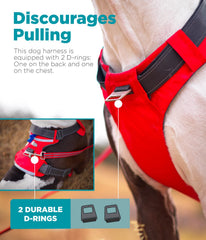 Outward Hound Boulder Aventura: anilla D trasera para control de correa.