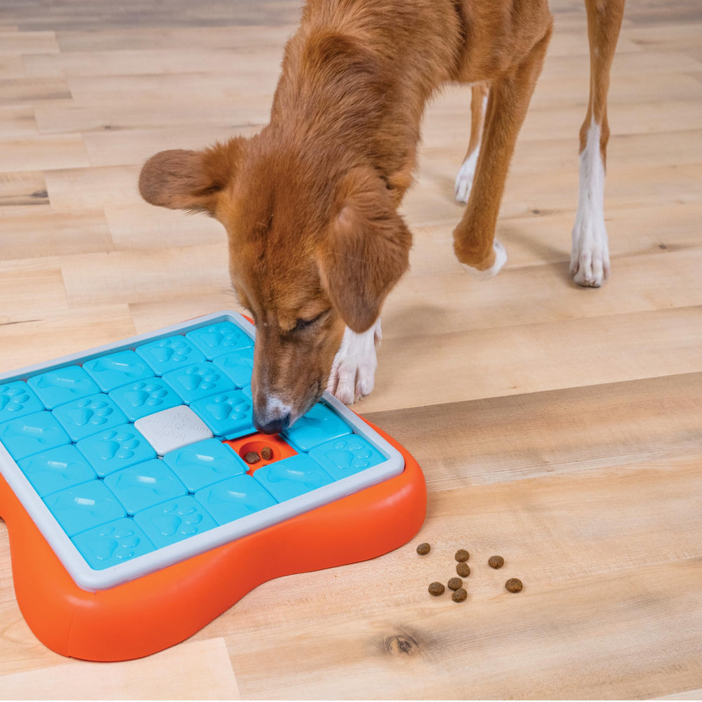 Outward Hound Challenge Slider con tapas deslizantes que revelan premios