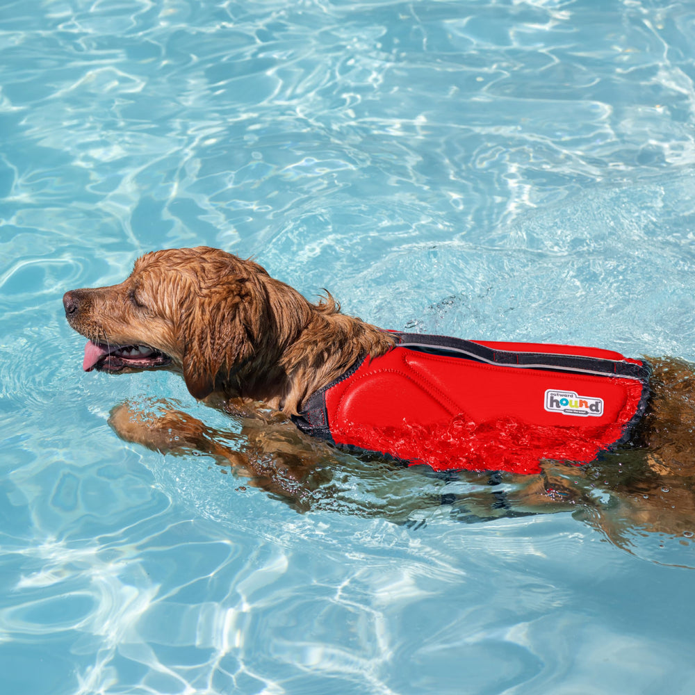 Outward Hound Dawson colores brillantes y reflectantes: mayor visibilidad en agua abierta.