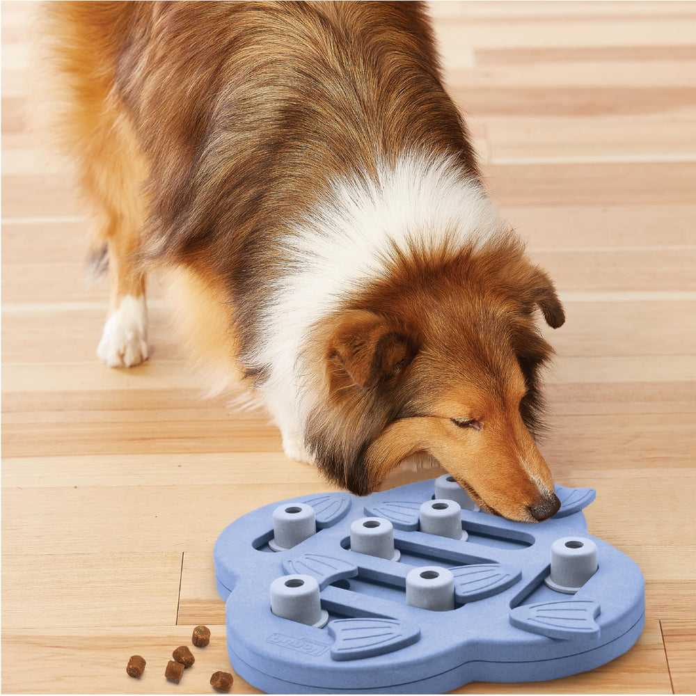 Outward Hound Dog Hide N' Slide: adecuado para perros de diferentes tamaños.