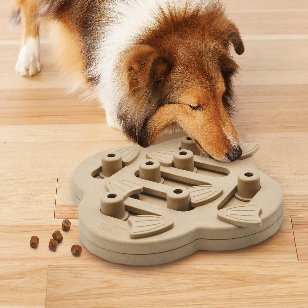 Outward Hound Dog Hide N' Slide: compatible con perros de todos los tamaños para diversión.