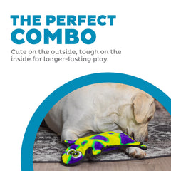 Outward Hound Durablez Gecko: construcción resistente con interior robusto para masticadores activos.