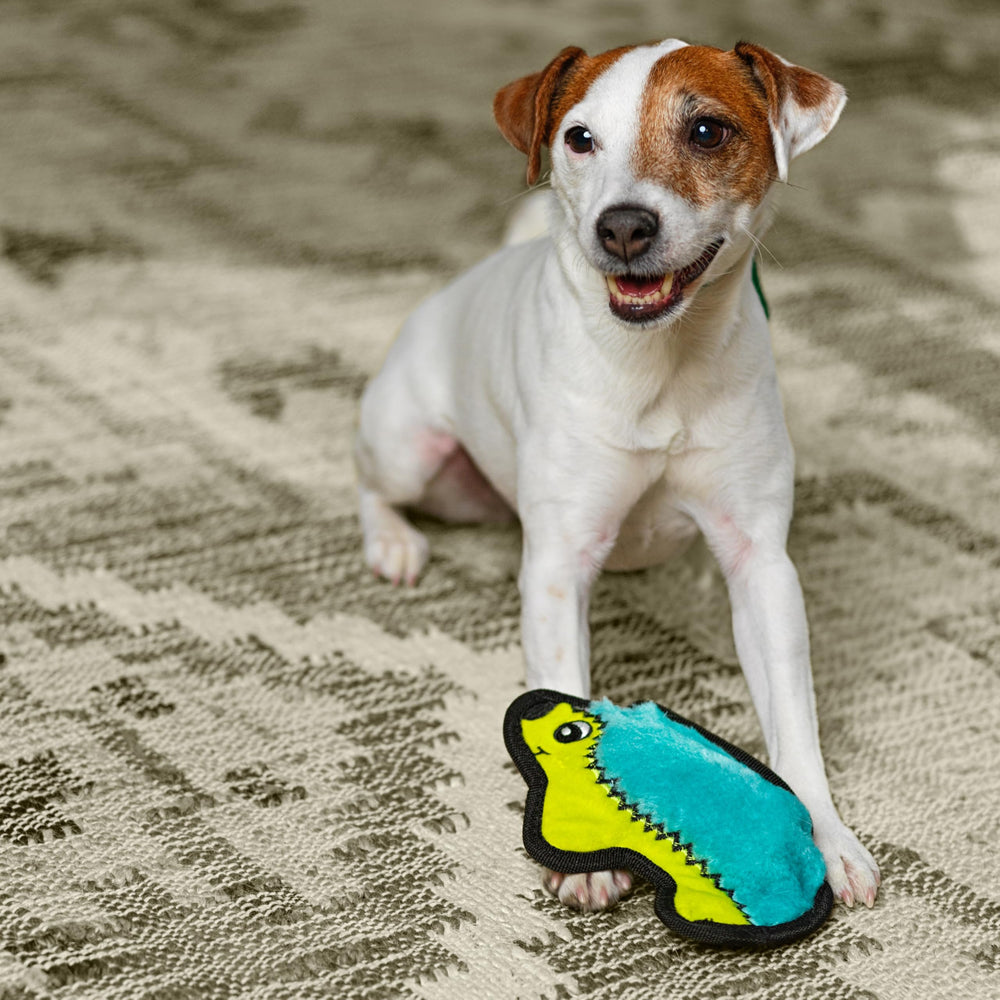 Outward Hound Durablez Minis 7-pulgadas, perfecto para perros pequeños
