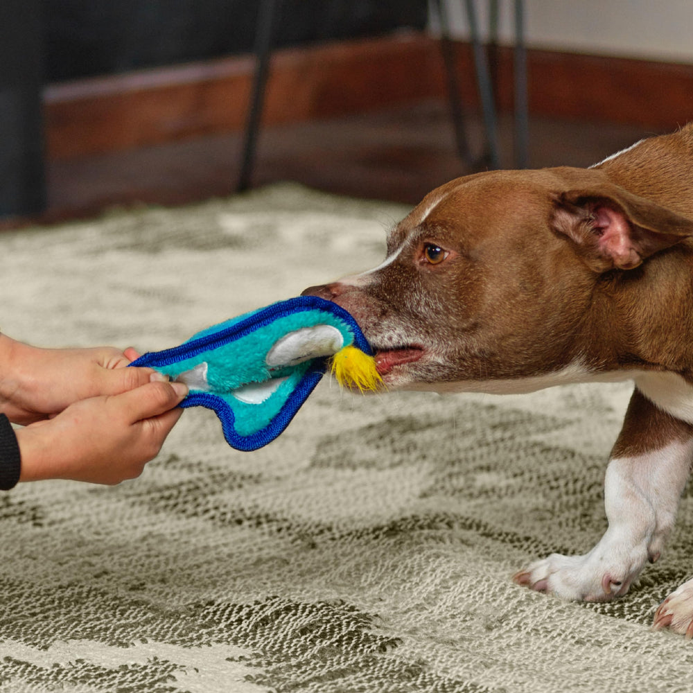 Outward Hound Durablez Minis: juguete interactivo para juego activo