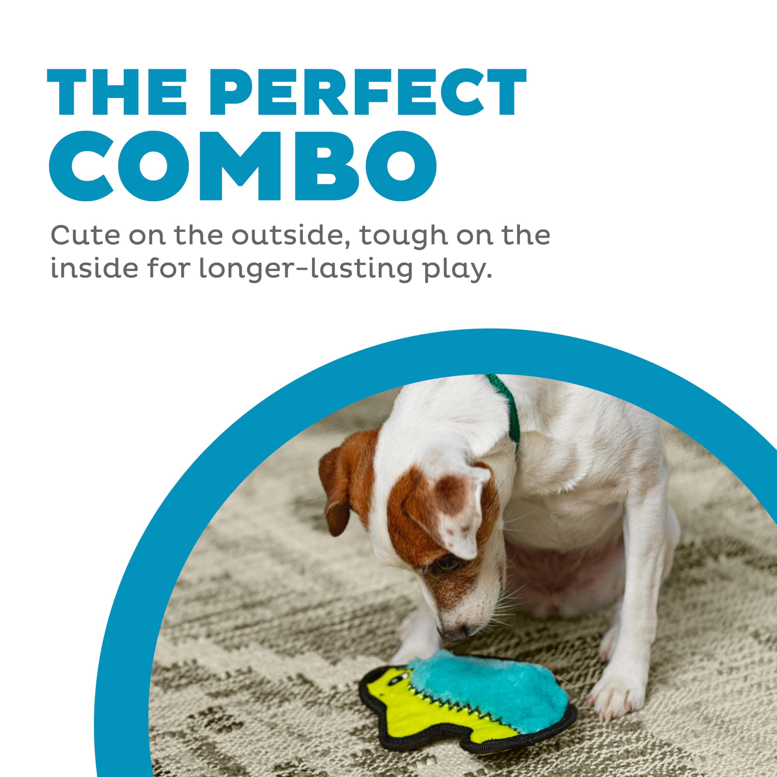 Outward Hound Durablez Minis unión resistente para mordidas y juego activo