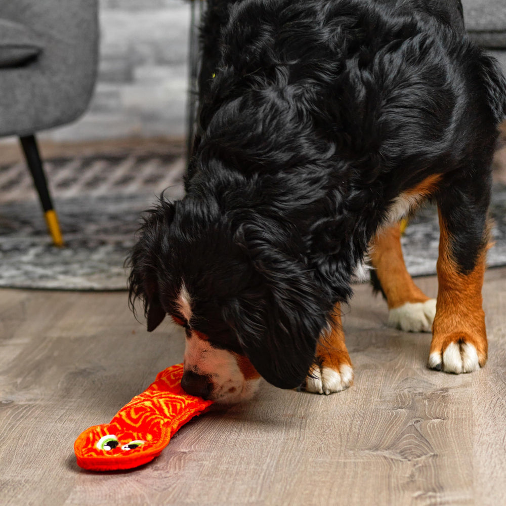 Outward Hound Durablez serpiente rosa, con varios sonajitos, funciona bien para sesiones de juego.
