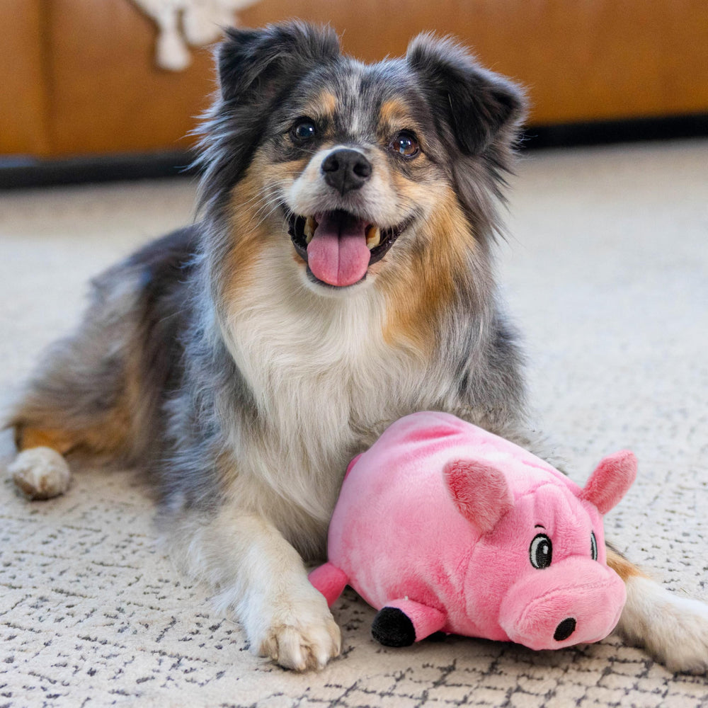 Outward Hound Fattiez peluche interactivo para perro en juego