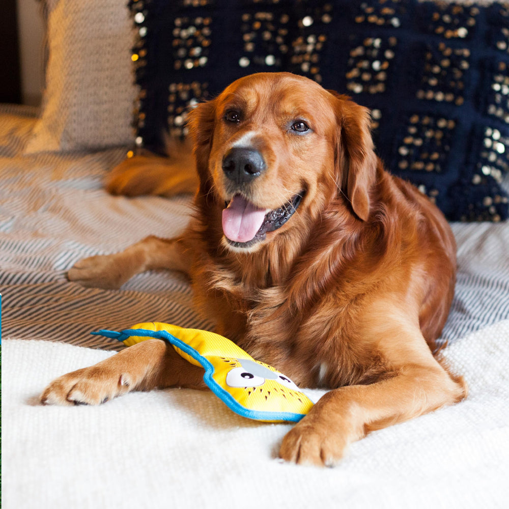 Outward Hound Fire Biterz, diseño duradero para mordidas intensas sin interrupciones.