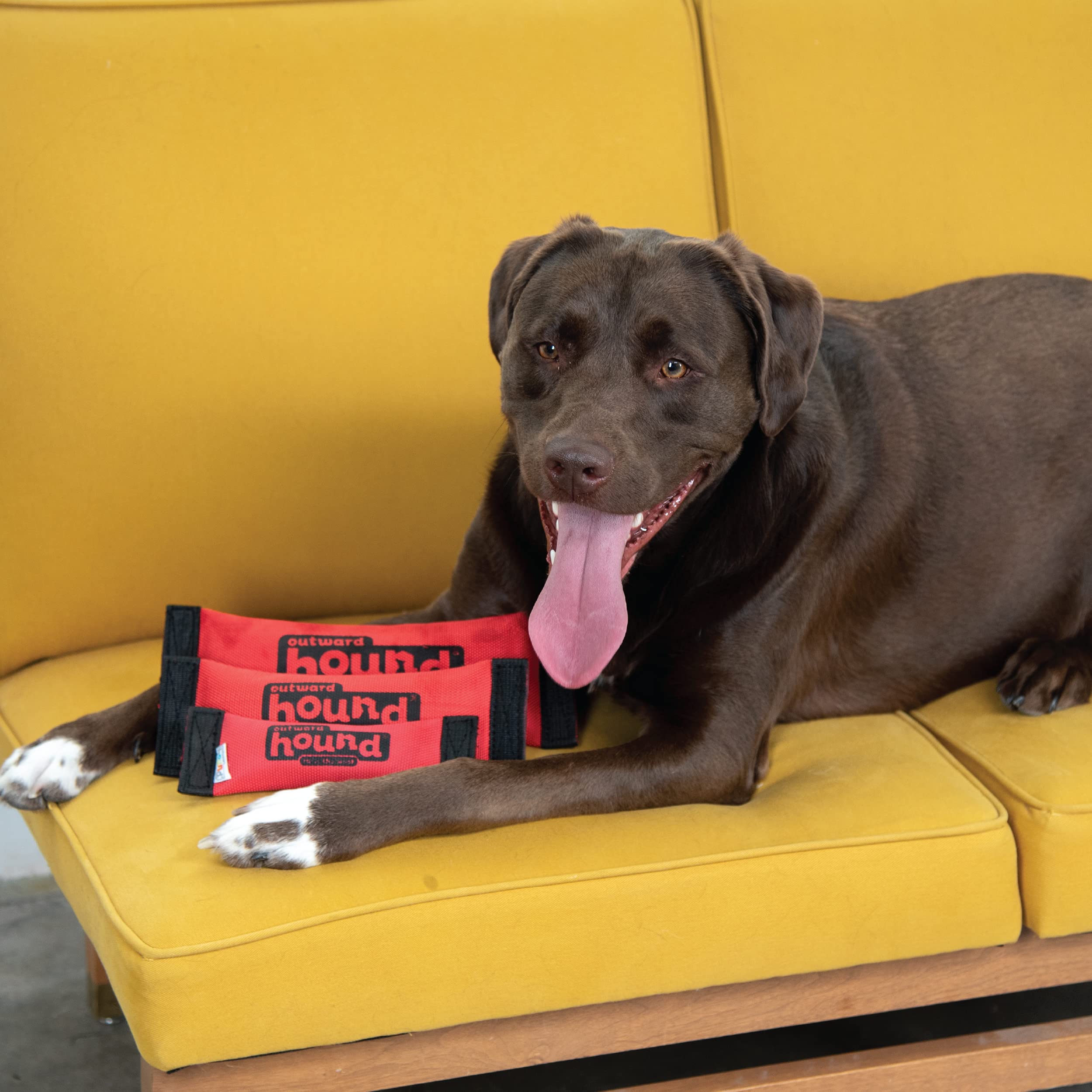 Outward Hound Firehose Fetch con chirriador para actividad diaria.