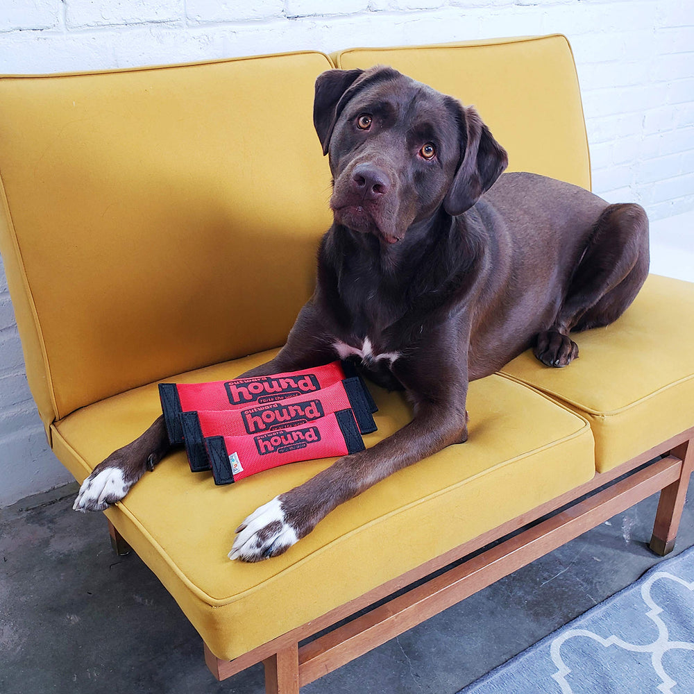 Outward Hound Firehose Fetch material resistente para juego prolongado.