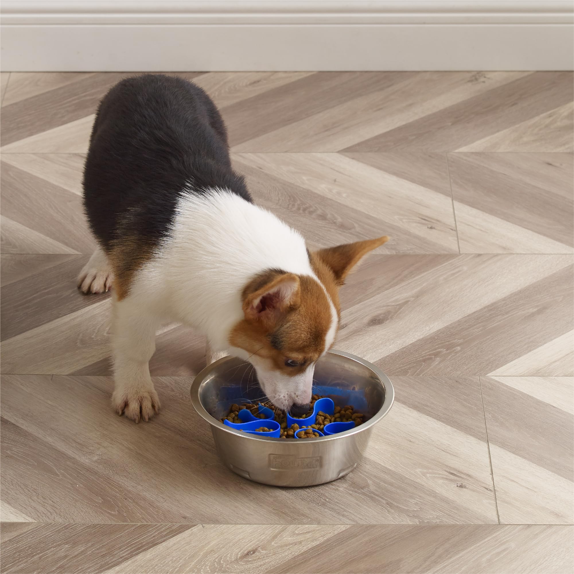Lavavajillas en rejilla superior compatible con Outward Hound Fun Feeder.