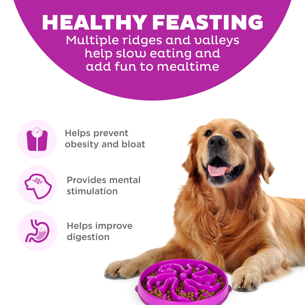 Outward Hound Fun Alimentador Slo Bowl, alimentación lenta para perros activos.