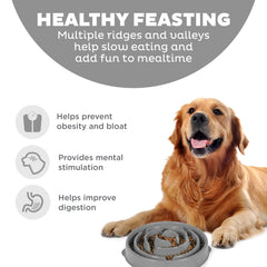 Outward Hound Fun Feeder Slo Bowl antideslizante evita derrames durante las comidas.