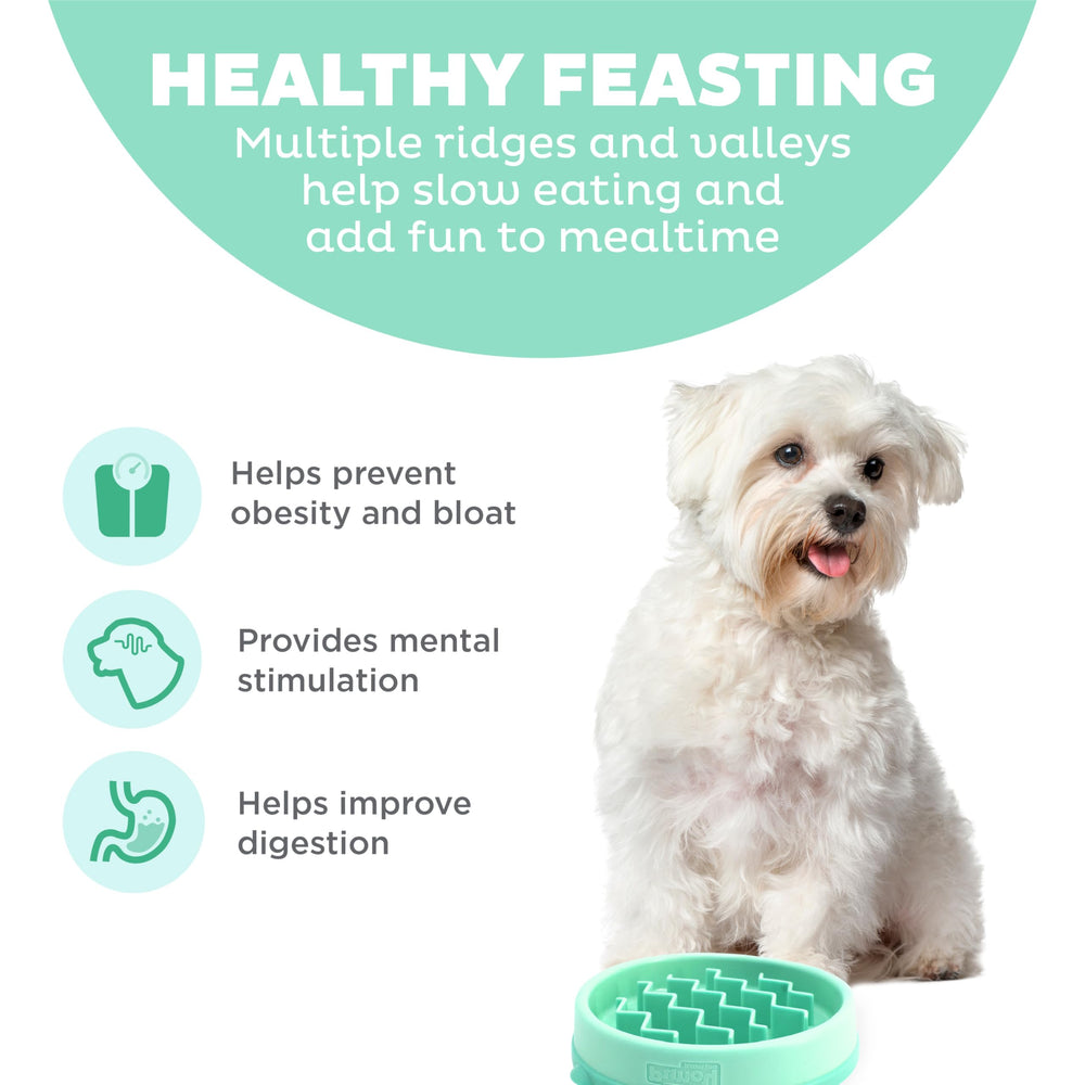 Outward Hound Fun Feeder Slo Bowl con diseño rompecabezas interior.