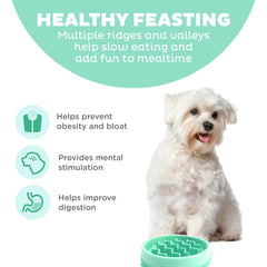 Outward Hound Fun Feeder Slo Bowl con diseño rompecabezas interior.