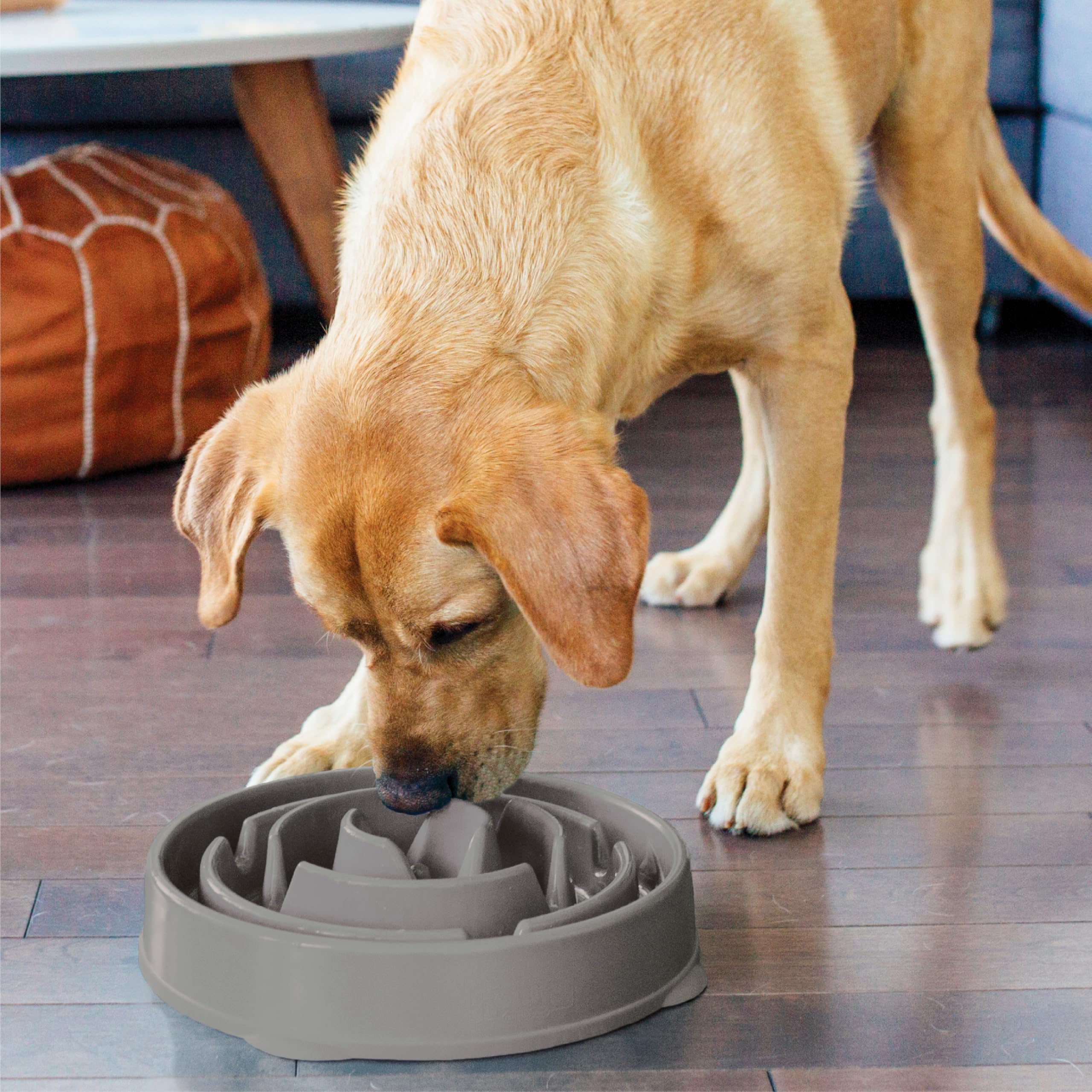 Outward Hound Fun Feeder Slo Bowl apto para lavavajillas por la rejilla superior.