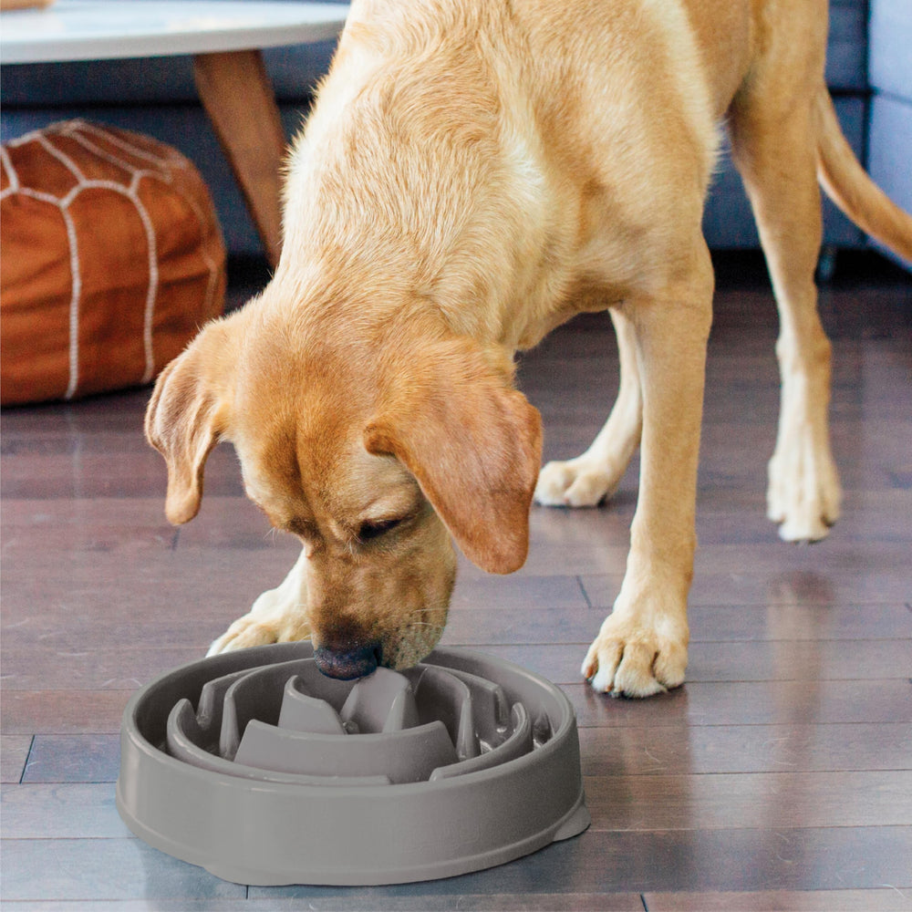 Outward Hound Fun Feeder Slo Bowl apto para lavavajillas por la rejilla superior.