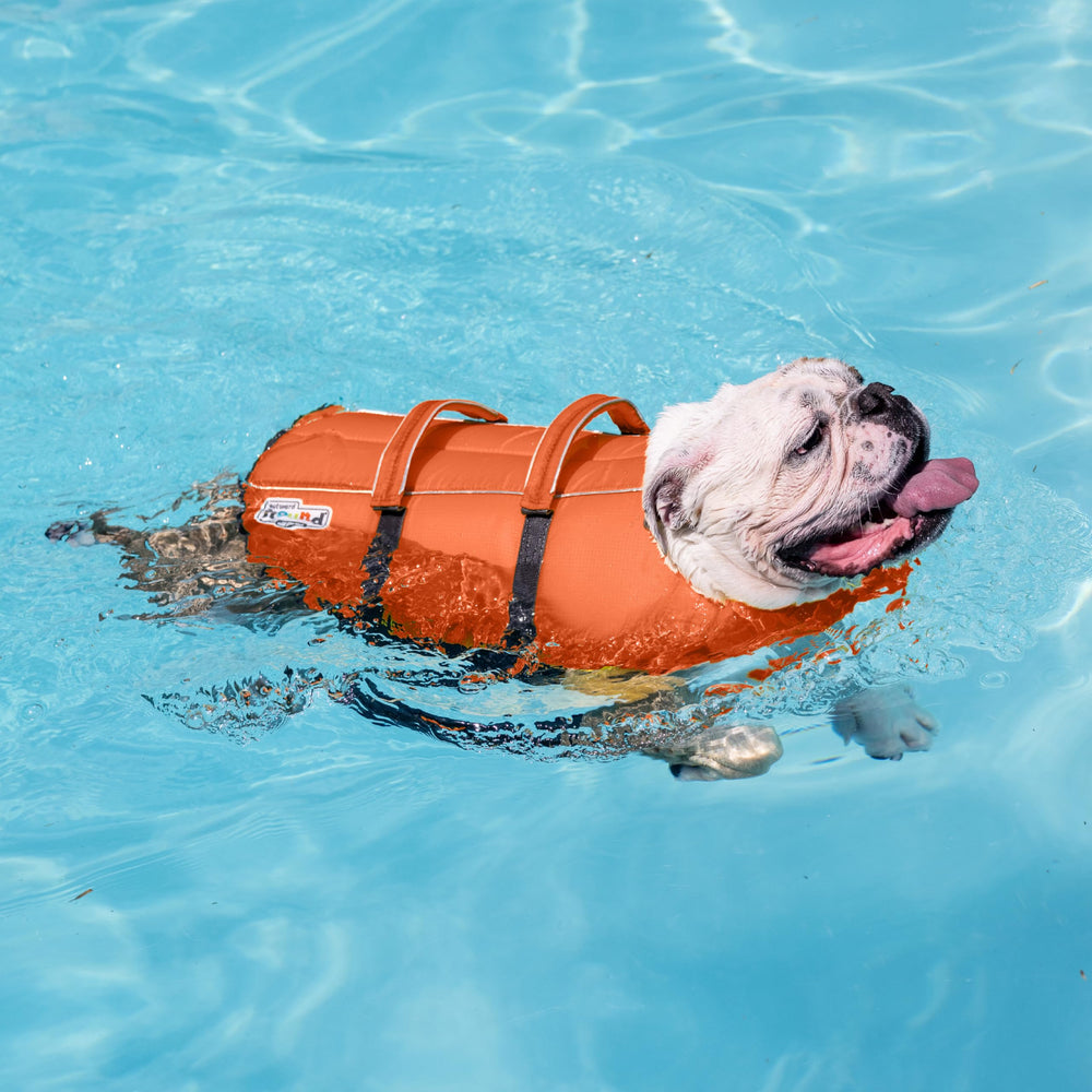Outward Hound Granby Splash cierres rápidos: ponlo y quítalo con facilidad