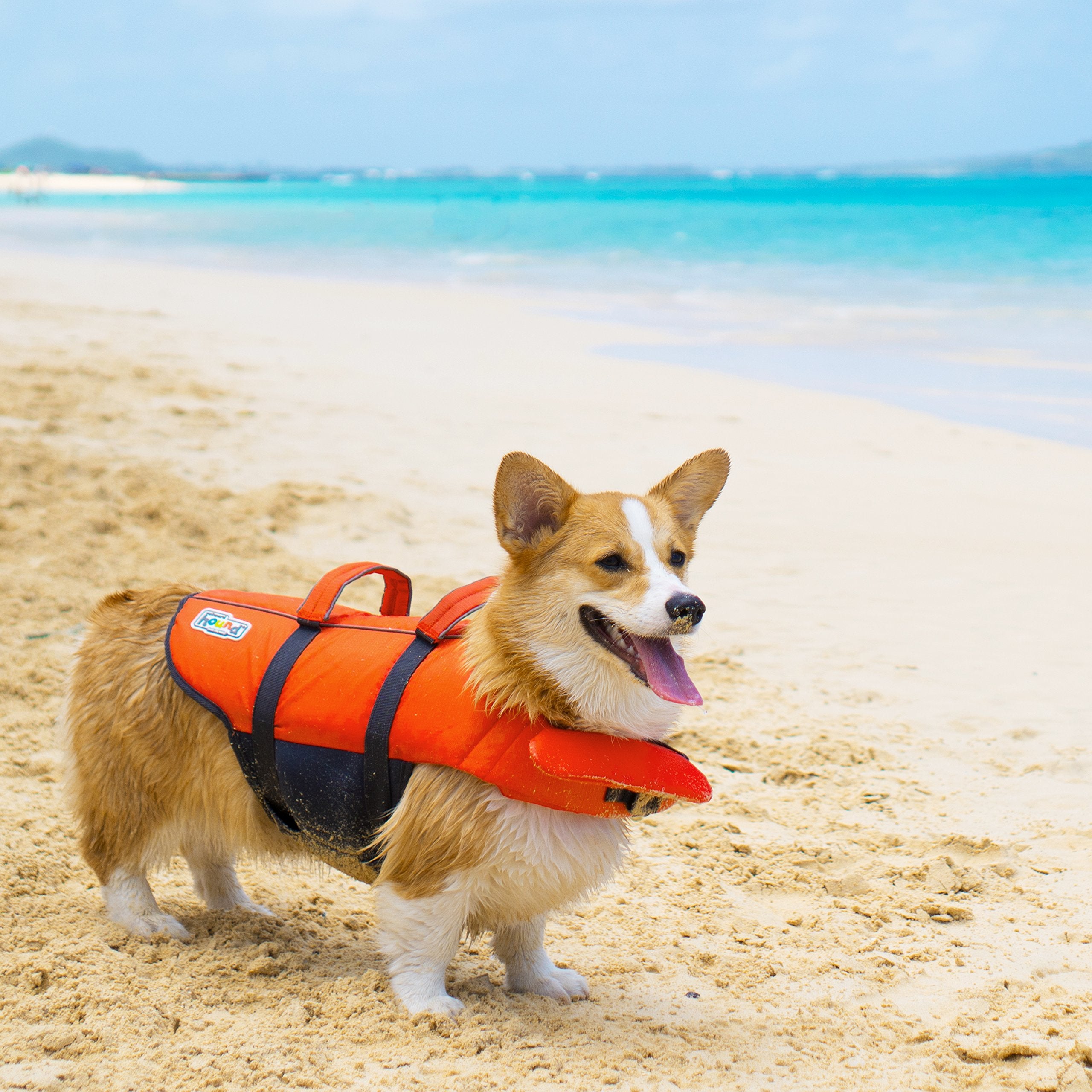 Outward Hound Granby Splash ideal para playa y lago