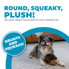 Outward Hound Hedgehogz: juguete con chirrido y gruñido para estimular al perro.