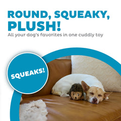 Outward Hound Hedgehogz tamaño mediano con gruñido para juego activo