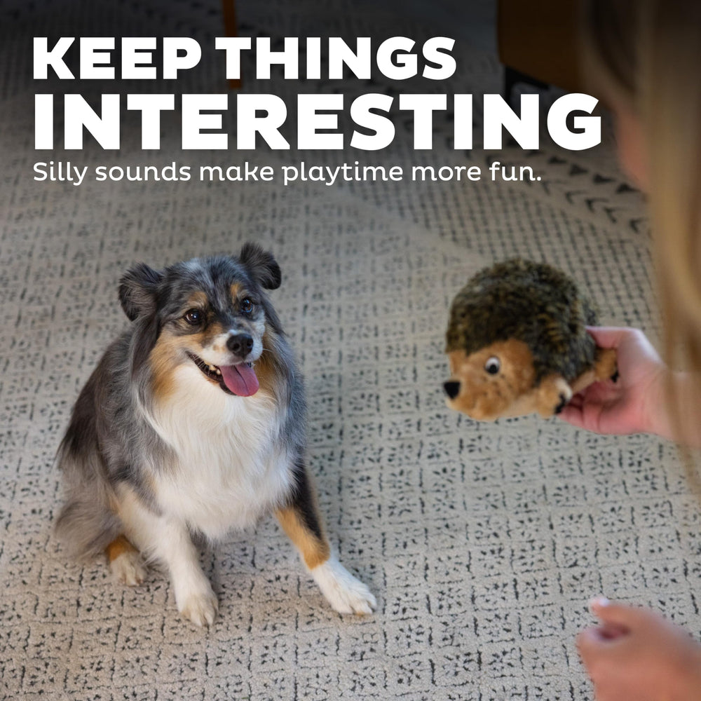 Outward Hound Hedgehogz: tamaño mediano, ideal para perros de diferentes razas y estilos de juego.