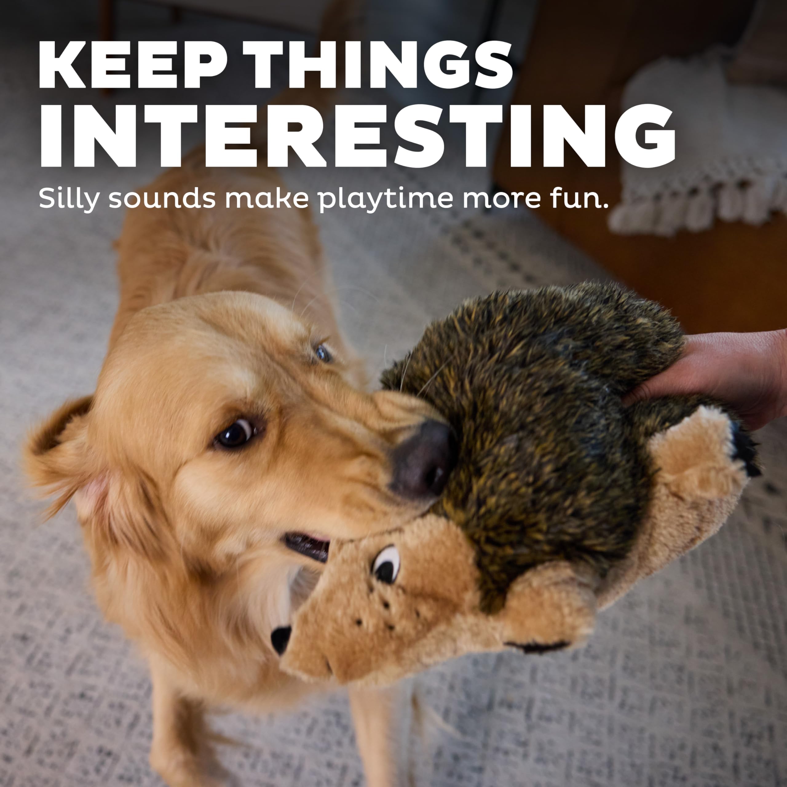 Outward Hound Hedgehogz ofrece varios tamaños para perros de distintas razas.